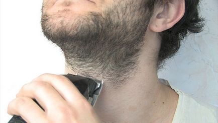 Hogyan, hogy borotválja meg szakállvágó