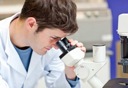 Mit citoplazmában (riboszómák) Mit citoplazmában