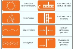 Hogyan akasztani tapéta a konyhában részletes utasítások (ragasztó) Hogyan akasztani tapéta a konyhában részletes utasításokat