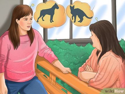 Hogyan kell kezelni egy macska, ha megharapott egy kutya