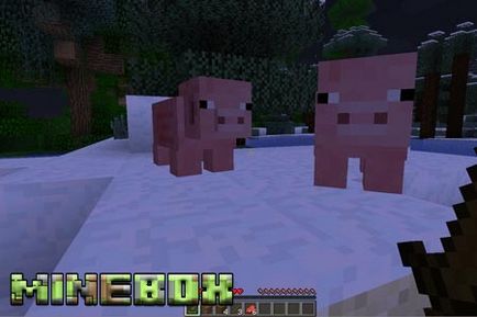 Hogyan kezdjük el maynkraft előnyöket a túlélésre Minecraft, minebox (maynkraft elkezd játszani minecraft túlélési előny menedzsment alap kraft kezdő) Hogyan kezdjük el maynkraft előnyöket a túlélésre Minecraft, minebox