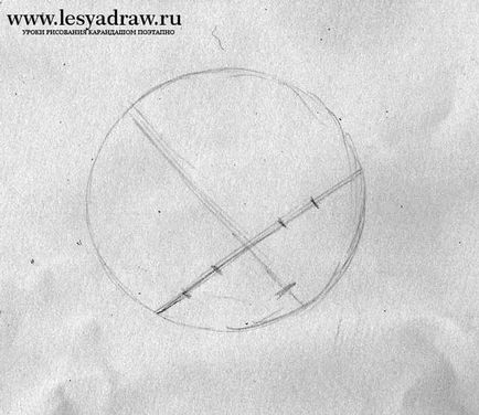 Hogyan kell felhívni a ceruza cica fokozatosan (ceruza cica fokozatosan) Hogyan kell felhívni a cica ceruza szakaszaiban