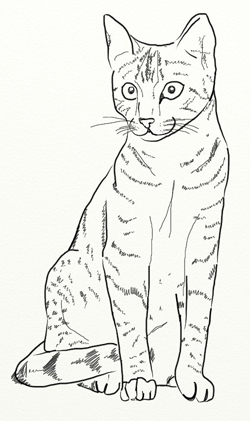 Hogyan kell felhívni a szép macska ceruza sablon - macskakiállításon