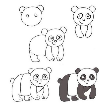 Hogyan kell felhívni a panda egyszerű fogantyú segítségével fénykép (diagram) Hogyan kell felhívni a panda egy egyszerű tollról fotó
