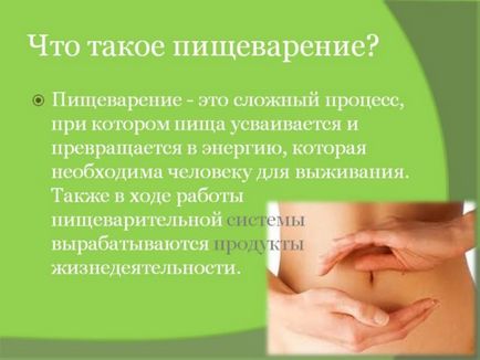 Hogyan normalizálja az emésztést könnyen és egyszerűen (visszaállítani a nyálkahártyán) Hogyan normalizálja az emésztést könnyen és egyszerűen