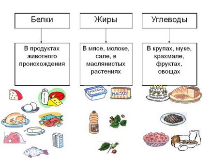 Hogyan normalizálja az emésztést könnyen és egyszerűen (visszaállítani a nyálkahártyán) Hogyan normalizálja az emésztést könnyen és egyszerűen