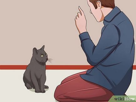 Hogyan elválaszt macska karmai élezés a bútorok