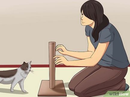 Hogyan elválaszt macska karmai élezés a bútorok