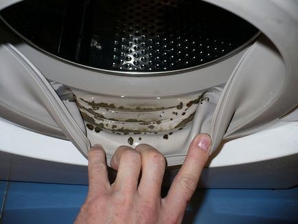 Hogyan tisztítsa meg a mosógép, a leghatékonyabb módszerek