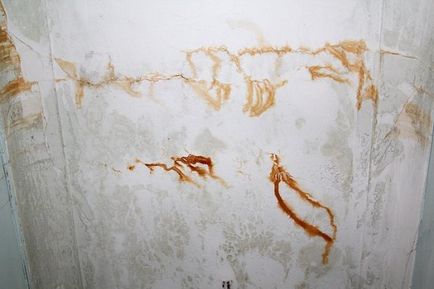 Hogyan kell festeni a falakat lapos kezük A szabályok egyszerűek és az eredeti technikákat