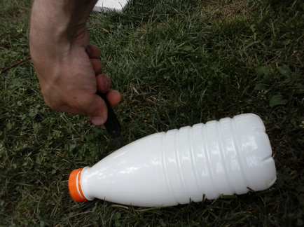 Hogyan készítsünk egy hattyú a műanyag palackok saját kezűleg
