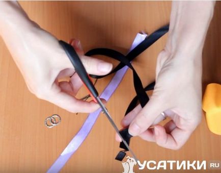 Hogyan készítsünk egy nyakörv macskáknak saját kezét, a master class
