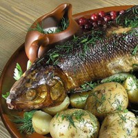 Hogyan savanyú tojás - egyszerű receptet Solim spawn csuka, süllő, sügér (kaviár) Hogyan savanyú tojás - egyszerű receptet Solim spawn csuka, süllő, sügér
