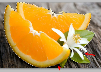 Egy objektum a Photoshop (komplex) Hogyan válasszuk ki az objektumot a Photoshop