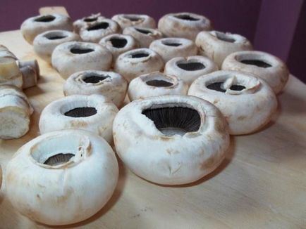 Hogyan lehet sütni gombát tippeket háziasszonyok