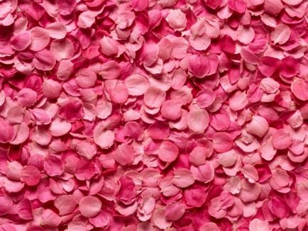 Miért álom rózsa (vörös, fehér, rózsaszín, fekete, és egyéb) lány, nő, vagy egy csokor szirmok