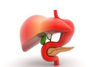 Osztályozása a krónikus pancreatitis, és alakja (krónikus) Osztályozása a krónikus pancreatitis, illetve annak formái