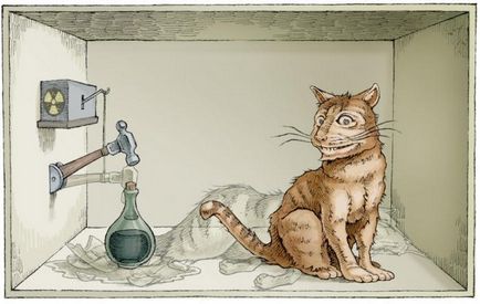 Schrödinger macskájának - a híres kísérlet paradox