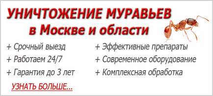 A vérszívó rovarok ágyban - aki harap meg éjjel (ágy) A vérszívó rovarok ágyban - aki harap meg éjjel