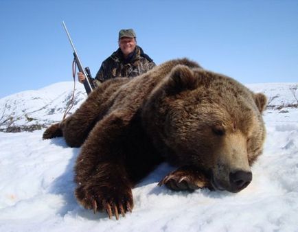 Hol jobb lőni egy medvét