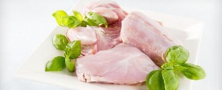 Csirkehús tulajdonságai és összetétele, előnyök és ártalmak használatából származó