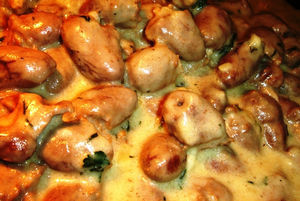 Csirke gombával legjobb receptek főzés, gomba helyszínen