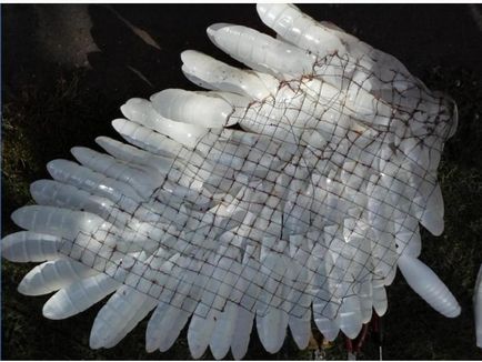 Swan műanyag palackok saját kezűleg - a mester osztály, hogyan lehet a rendszer (kéz) Swan műanyag palackok saját kezűleg - a mester osztály, hogyan lehet a rendszert