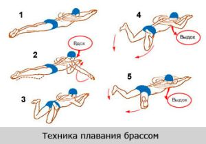 Terápiás úszás scoliosis 1., 2. és 3. fokú gyakorlása a medencében