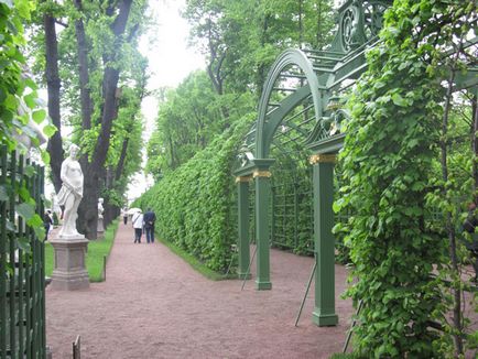 Nyári kert, Budapest leírás, képek, ahol a térképen, hogyan juthat