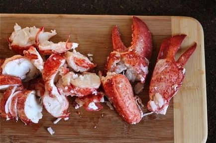 Homár - recept fotókkal, hogyan kell főzni homár otthon