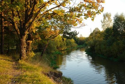 Ragályos domolykó kifogása, hogy a harapás, csali és a csali, halászati módszerek (domolykó) Chub halászati kifogása, hogy a harapás, csali és a csali, halászati módszerek