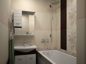 Kis fürdőszoba WC nélkül, meghatározása a stílus és a design, fotó sikeres változatok