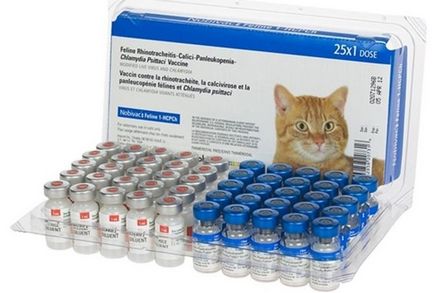 Nobivac kutyák és macskák irányár a vakcinát, vélemények