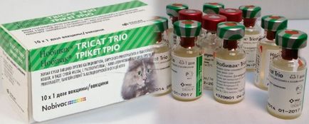 Nobivac macskáknak - használati utasítás a vakcina, a helyszínen „bögre”