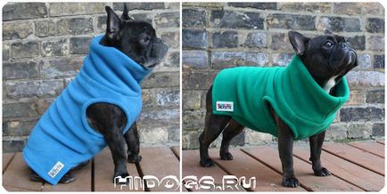 Ruházat francia bulldog, hogyan lehet a saját (fotó)
