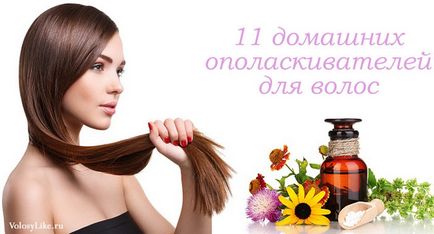 Kondicionáló haj 11 hazai receptek és vélemények