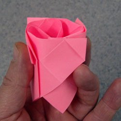 Origami Rose rendszer varázsló lépésről lépésre osztály és oktatóvideók