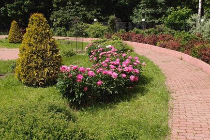 Sokolniki Park Moszkva elérni, metró és címét, térkép