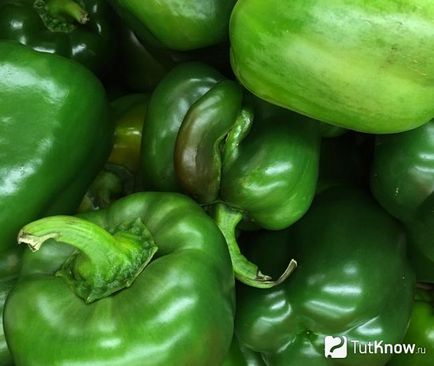Pepper zöld édes készítmény, kalória, receptek, előnyök