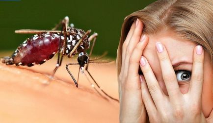 Miért szúnyogok harapás minket