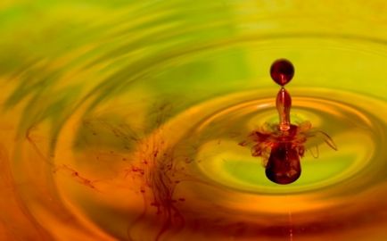 Trágyázás paradicsom virágzás idején (virágzás) Trágyázás a virágzás alatt paradicsom