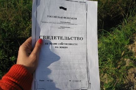 Vásárlás kerti papírmunka, mit kell keresni, hogyan lehet egy ügylet (vásárlás villák) Vásárlás kerti papírmunka, mit kell keresni, hogyan lehet egy üzletet
