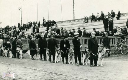 Rendőrségi kutyák Magyarországon 1920-tól napjainkig