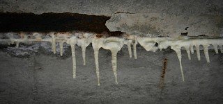 Pripjaty, a szellemváros ( „energikus” a Kultúrpalota) Pripjaty, a szellemváros
