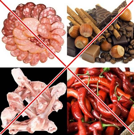 Termékek, amelyek károsak a kutyák - hajtások az élet (kutya) Termékek, amelyek károsak a kutyák - élet hajtások