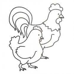 Színező csirke letöltése és nyomtatása