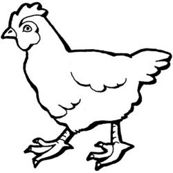 Színező csirke letöltése és nyomtatása