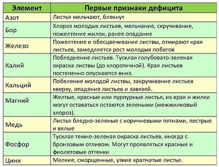 Különböző kérdéseket oszlopos alma termesztés, trágyázás, betegség, milyen a növény