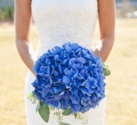 Kék menyasszonyi csokor, amit virágok közül lehet választani a menyasszony