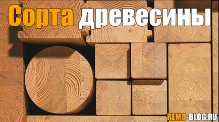 Fafajták - amelyek szerint GOST, építési blog (vendég) Fafajták - amelyek szerint GOST, építési blog